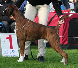 Image of xneronkk