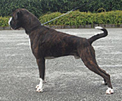 Image of xveni18