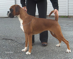 Image of xwisebis2a