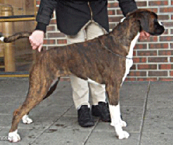 Image of overtQueen