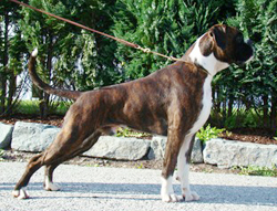 Image of iraklirsta