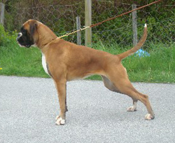 Image of haussewictoriavg