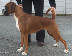 Image of xwisebis