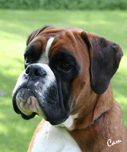 Image of fredrick18