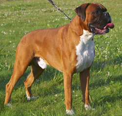 Image of realhatrick