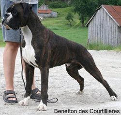 Image of BenettondesCourtllieres