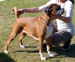 Image of elin