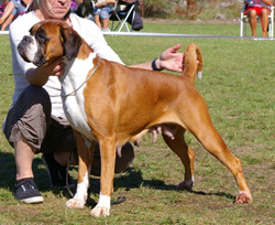 Image of soph