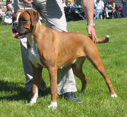 Image of Tina