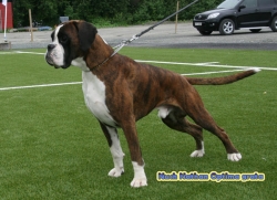 Image of nathan-optima-grata_250x181_edf70a970724095c314de8