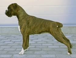 Image of lotta9_249x189_831c6ac6da0bb140206b862bc1201066
