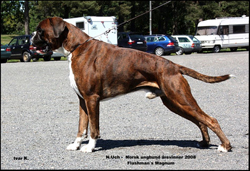Image of Magnum3aar