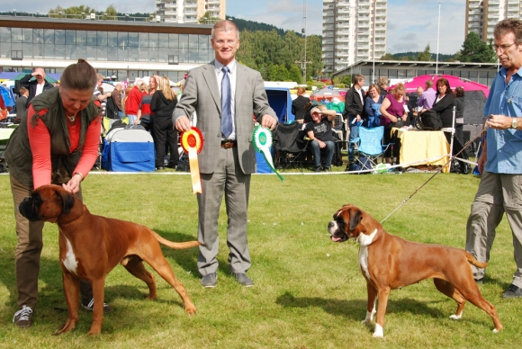 Image of bir-bim-nkk-bjerke_580x388_25ed45d4b7c7f101636d4c0