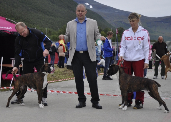 Image of bir-bim-tromso_581x413_056b75fae51f4f6c53b3ecc0311