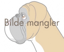 Image of bildemangler250-utenramme_207x167_b4899eb16ef71f88