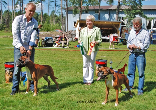 Image of birbimfredrikstad_520x369_dadf84a4965d60c13dcde4e1