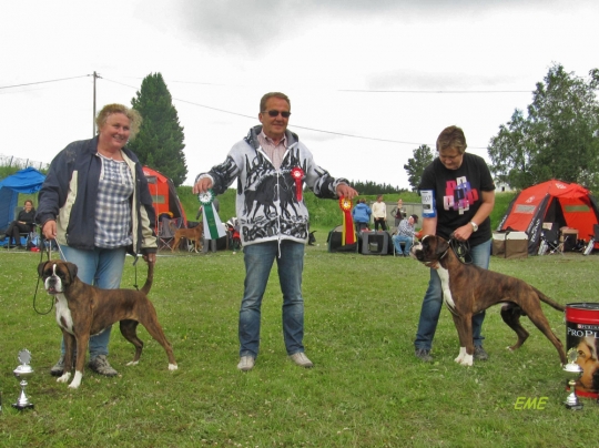Image of birbimtronderlag_540x404_d12180f58465dc9f7d045e149