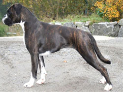 Image of krisie