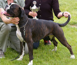Image of touchbyanangel