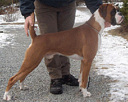 Image of Victor (1)