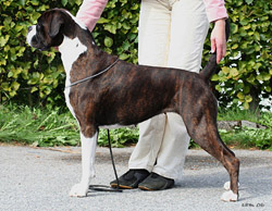 Image of Hilda_Stavanger