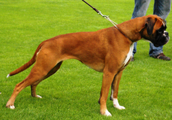 Image of holly_jsz2009