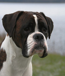 Image of Hilda_3_yrs_077_kopiera