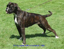 Image of Alfa_aachen_ksa_jugend