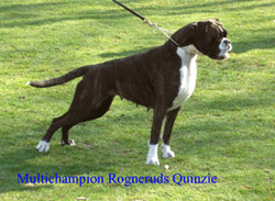 Image of quinzie_gelsenkirchen