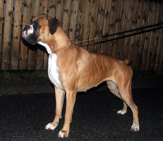 Image of PandoraOdStribrnaku