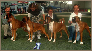 Image of 2006-Boxerdalen-oppdretter