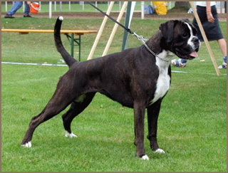 Image of Klara2
