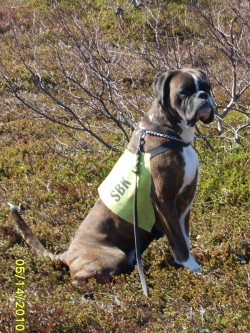 Image of engelaiz-look-twice_250x333_7ed8c0e0ac0cdf16ec2ffa
