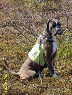 Image of engelaiz-look-twice_250x332_7ed8c0e0ac0cdf16ec2ffa