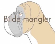 Image of bildemangler250-utenramme_231x187_b4899eb16ef71f88