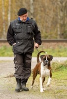 Pollux Canine Boxer Aroso og Bjarne Hangård - ipo1