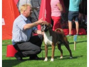 Bergen - 25.05.2014 - Norsk Dobermann Klub - BIR