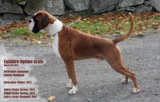 Casimiro Optima GrataNDK