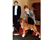 Vinterutstilling 8. februar - PM