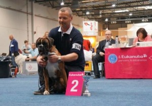 Bozzz Von Ellinghaus (Balto)6 
