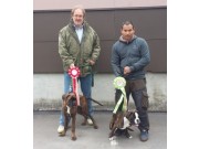 Bergen 25.05.2014 - Norsk Dobermannklubb - BIM Valp