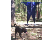 MH - 27.04.2014 - Norsk Belgisk Fårehund Klubb Rogaland