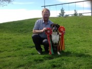 Vejen - Danmark 21.06.2014 - Dansk Kennel klub - Dansk Championat