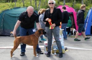 Leopold av Boxerhuset 220614