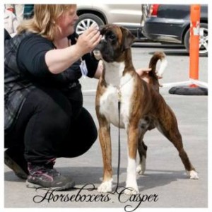 Horseboxers Casper