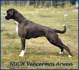 Venceremos ArwenNuch1
