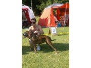 Moss 26.07.2014 - Moss og omegn hundeklubb - BIR Valp
