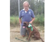 Nesbyen 01.08.2014 - Hallingdal hundeklubb - BIM Valp