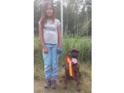 Nesbyen 01.08.2014 - Hallingdal hundeklubb - BIR Valp