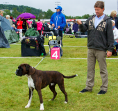 Skjermbilde 2014-08-17 kl. 19.57.31
